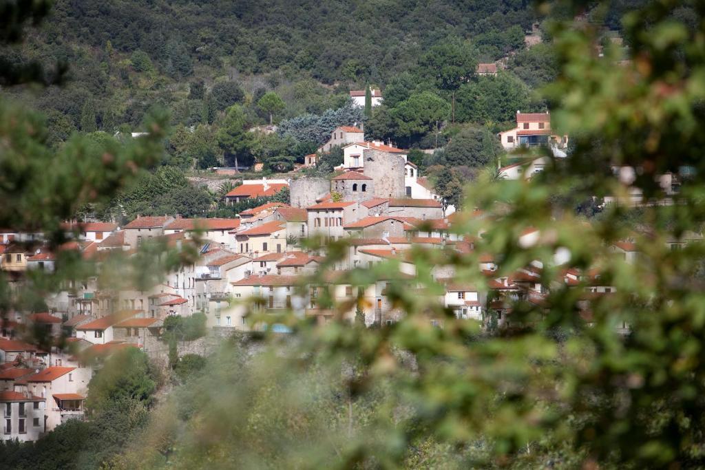 Hotel La Pinede Amélie-les-Bains-Palalda Pokoj fotografie